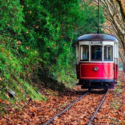 Full Day Private Guided Tour to Sintra Cascais Estoril 5