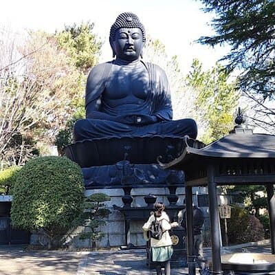 Walking tour, Tokyo Great Buddha, Botanical Garden, etc. 2