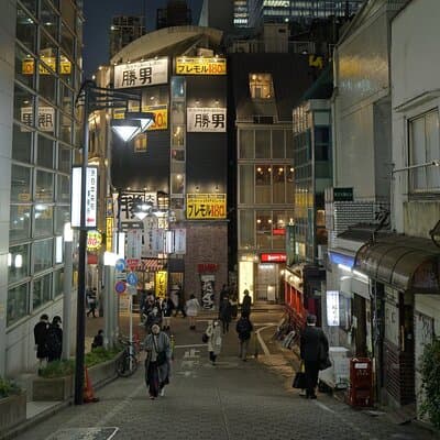 Discover Tokyo 3 Hour Customizable Private Walking Tour 3