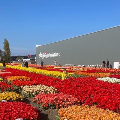 5 Hours Private Tulip Experience at Keukenhof Gardens