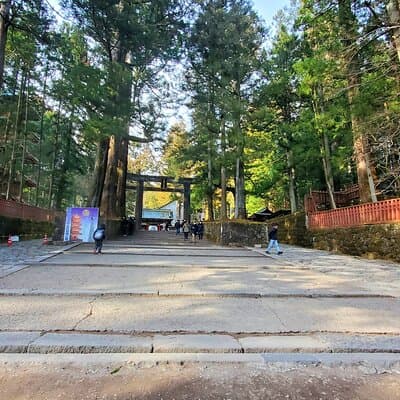 Nikko Full-Day Private Tour from Tokyo (Customizable) 5