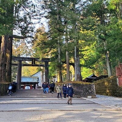 Nikko Full-Day Private Tour from Tokyo (Customizable)