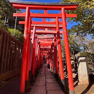 Tokyo: Yanaka & Nezu Old Town Heritage Walk 5