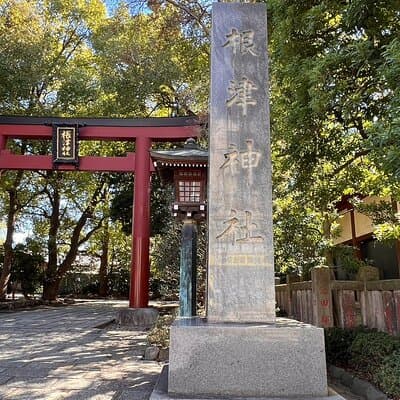 Tokyo: Yanaka & Nezu Old Town Heritage Walk 4
