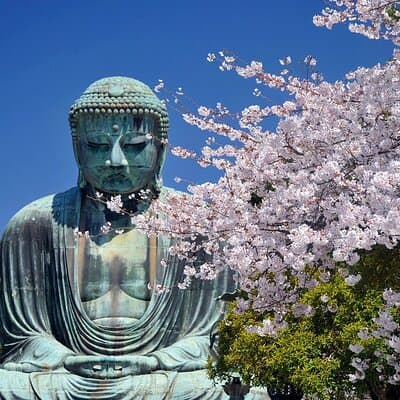 Private Kamakura Enoshima Tour from Tokyo w/ pickup & local guide