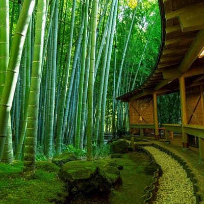 Private Kamakura Enoshima Tour from Tokyo w/ pickup & local guide 4