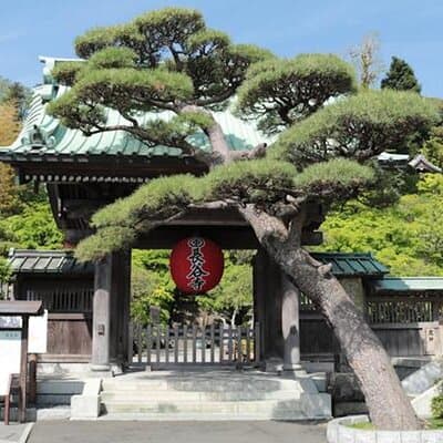 Private Kamakura Enoshima Tour from Tokyo w/ pickup & local guide 2