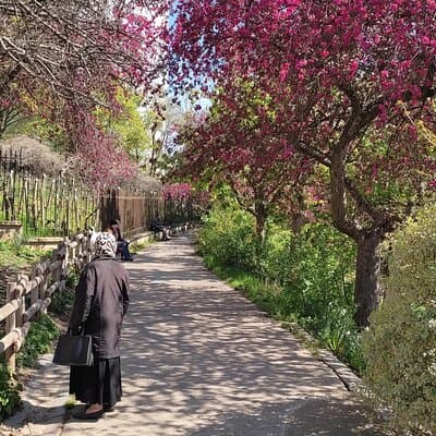Exploring Belleville, Parisian Culture&Creativity in Motion 5