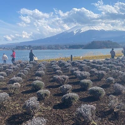 Full Day Private Tour to Mt Fuji by Luxury Vehicle 3