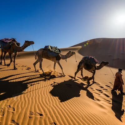 Dubai Evening Desert Safari with RedDune, sandboarding, live show 5
