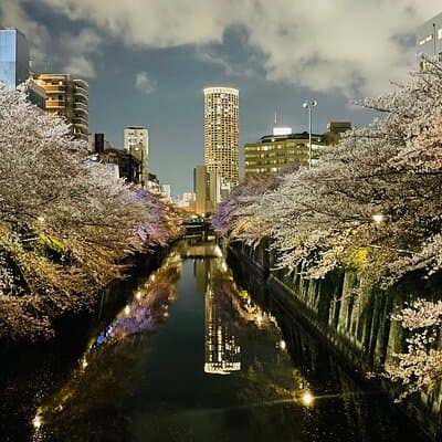 Exciting Evening of Eats in Tokyo 2