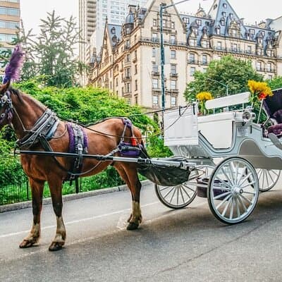 NYC Central Park & Rockefeller Center Private Horse Carriage Tour