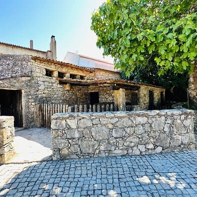 Divine Journey : Fatima Full Day Private Tour 4