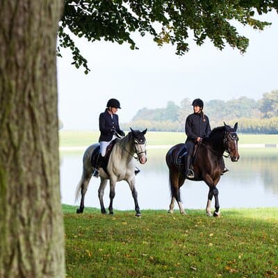Versailles Private Tour : Horse-riding, Gastronomy & the Palace 4