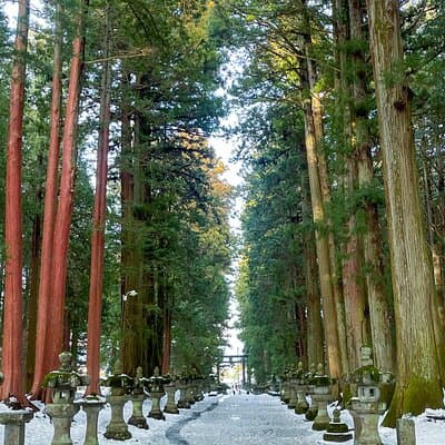 From Tokyo to Mount Fuji! Private Car Tour by Eng Speaking Driver 2
