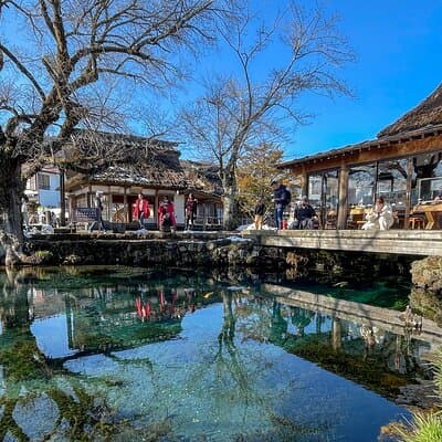 From Tokyo to Mount Fuji! Private Car Tour by Eng Speaking Driver 3