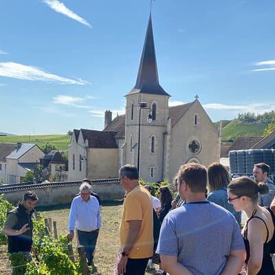Private wine tour to Sancerre vineyards from Paris with Sommelier 2