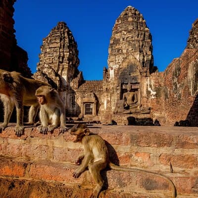 Bangkok to Ayutthaya Lopburi Monkey Temple, Largest Buddha Tour