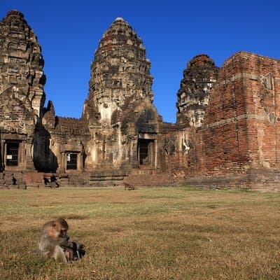 Bangkok to Ayutthaya Lopburi Monkey Temple, Largest Buddha Tour 2