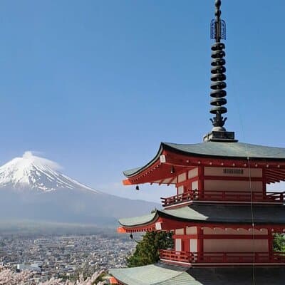 Private Car tour to Mt. Fuji/Hakone with English Driver/Guide