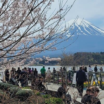 Private Car tour to Mt. Fuji/Hakone with English Driver/Guide 2