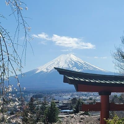 Private Car tour to Mt. Fuji/Hakone with English Driver/Guide 3