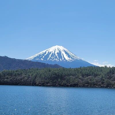 Private Car tour to Mt. Fuji/Hakone with English Driver/Guide 4