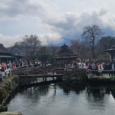 Private Car tour to Mt. Fuji/Hakone with English Driver/Guide 5
