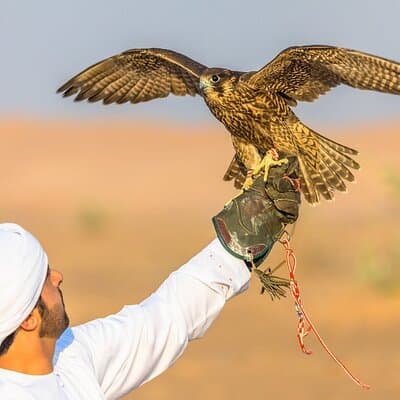 Dubai Desert Safari with BBQ Dinner in red sand 2
