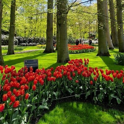 4Hrs with a Local in Amsterdam: Full Private & Personalized Tour. 2