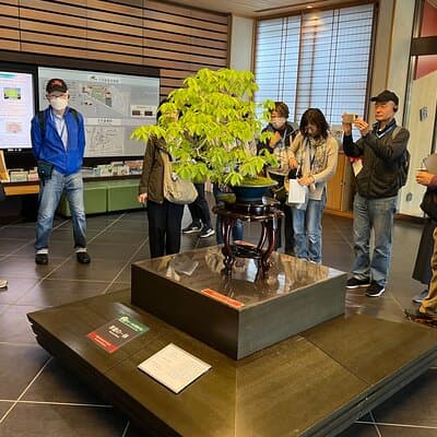 Private Omiya Bonsai Village Tour with Licensed Guide 2