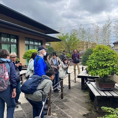Private Omiya Bonsai Village Tour with Licensed Guide 5