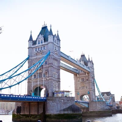 Private London Sightseeing Tour: Black Taxi from Heathrow Airport 5
