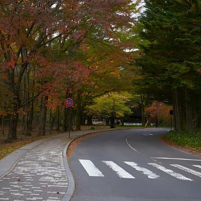 Nikko World Heritage Full Day Trip 4