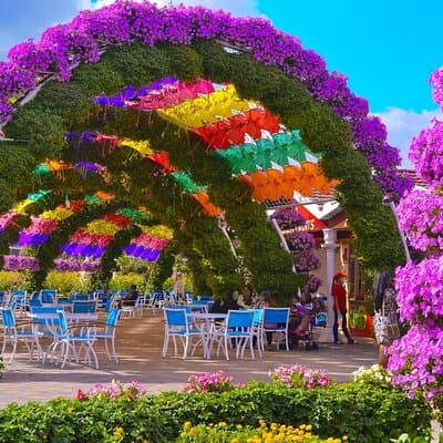 Miracle Garden and Global Village Combo with Private Transport 3