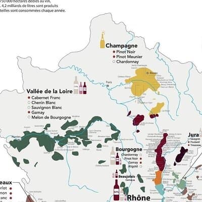 New Paris Wine Tasting!