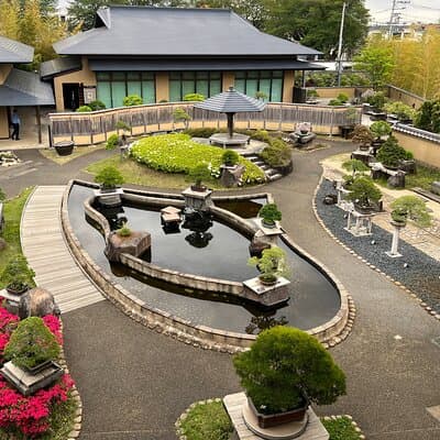 Private Omiya Bonsai Village Tour with Licensed Guide