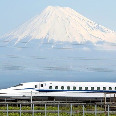 Bullet Train Experience & Mishima Shrine Private Tour from Tokyo