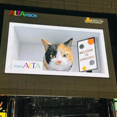 4 Hours Shibuya - Shinjuku Night Tour 4