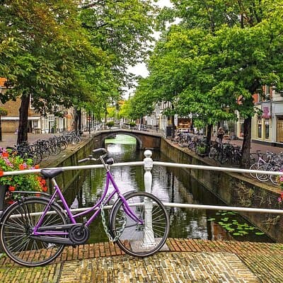 Private tour to The Hague and Delft Blue Potteries from Amsterdam 3