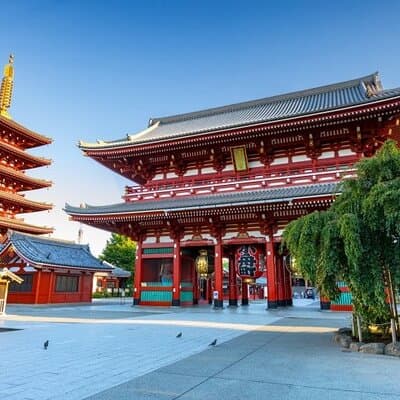 Tokyo Private Tour with English Speaking Driver