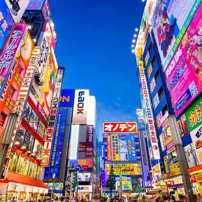 Tokyo Private Tour with English Speaking Driver 4