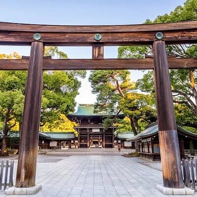 Tokyo Private Tour with English Speaking Driver 5
