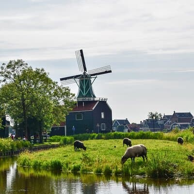 Family friendly tour of Castle, Windmills and Pancakes 4