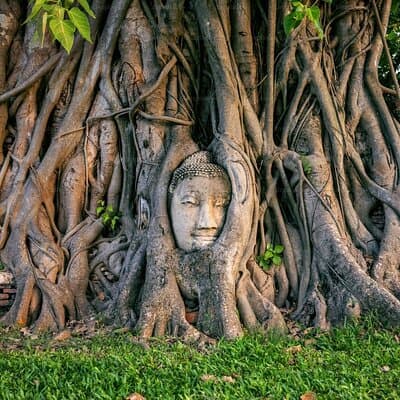 Ayutthaya Three Temple Tour and Scenic Boat Ride Experience 4