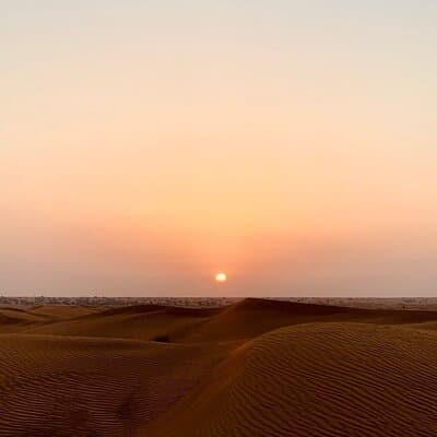 Dubai Desert Safari Tour 4x4 with Locals BBQ and Shows 5