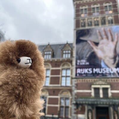 Rijksmuseum 3h Private Guided Tour & Entry Tickets