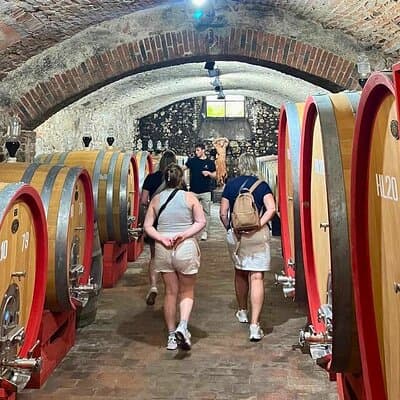 Pisa, Vinci, Tuscany, Wine tasting all in one day! - Small Group 5