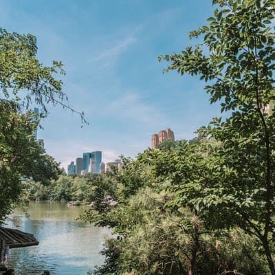 French Bicycle Tour of Central Park - Cinema 2