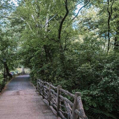 French Bicycle Tour of Central Park - Cinema 4